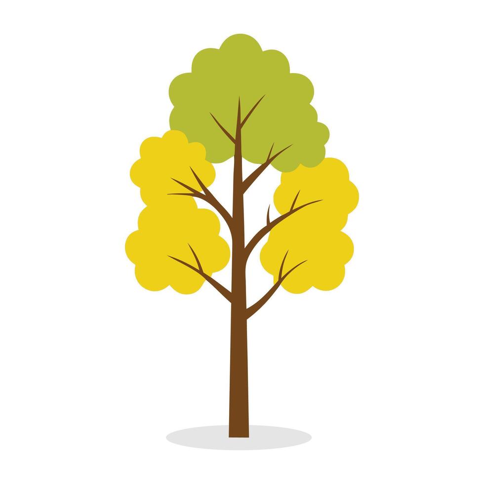 Quaking Aspen, Populus tremuloides tree Nature flat illustration on white background. vector