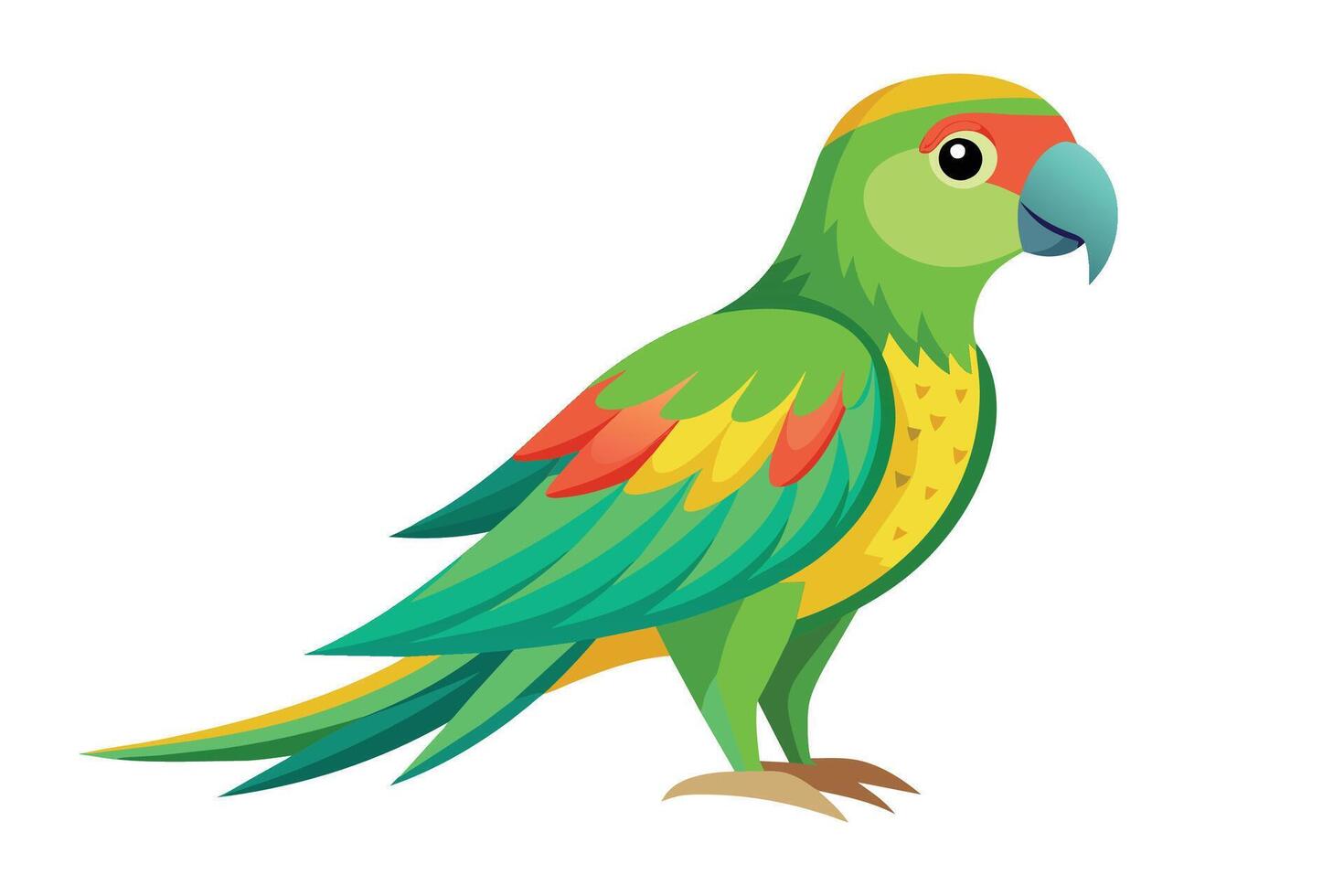 PARROT flat illustration on white background vector