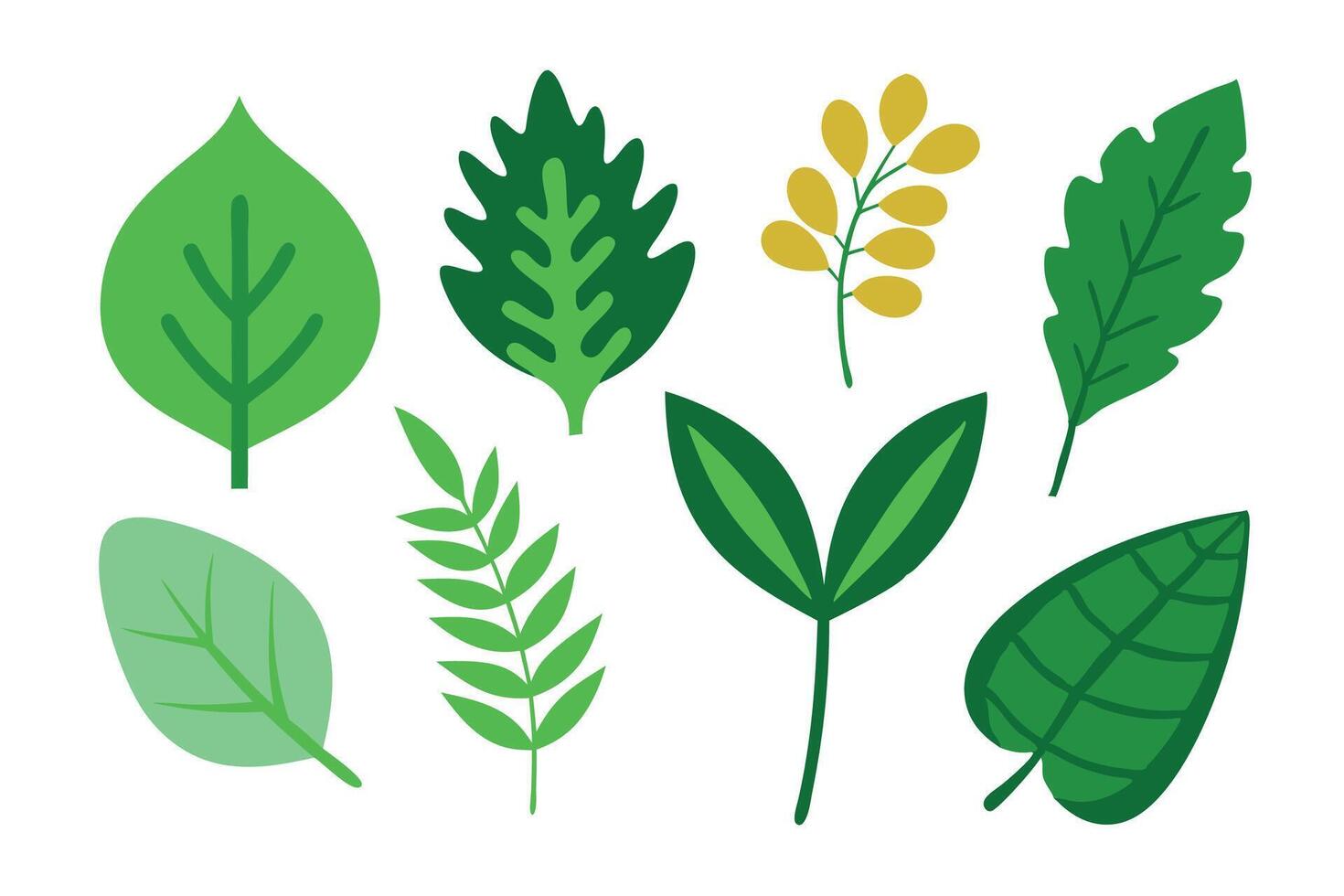 leaf botancial flat set illustration. vector