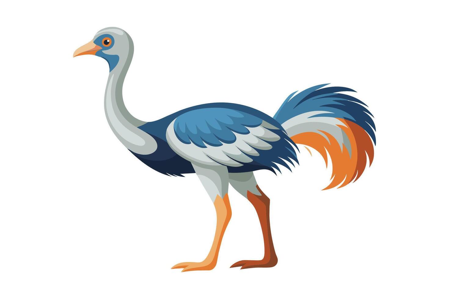 Ostrich flat illustration on white background. vector