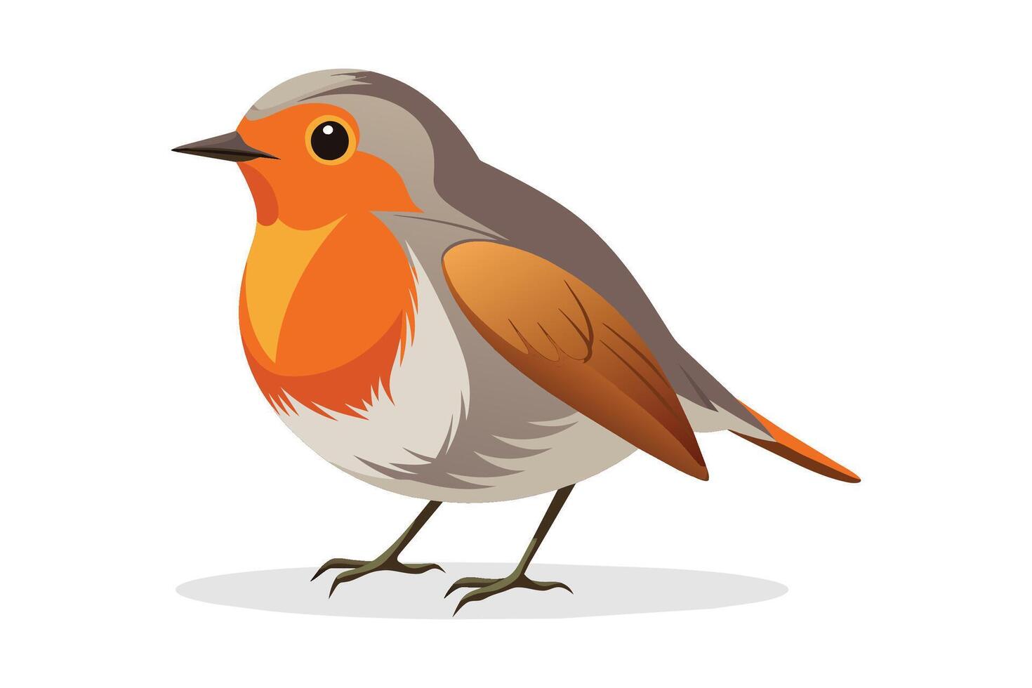 Robin flat illustration on white background vector