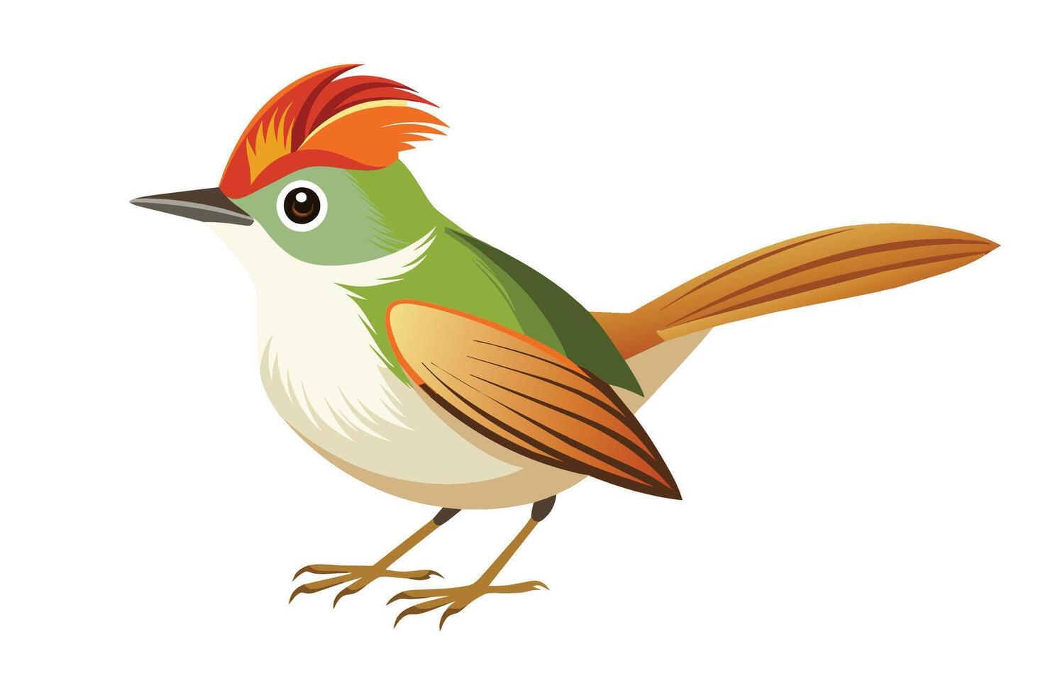 Tailorbird flat illustration on white background. vector