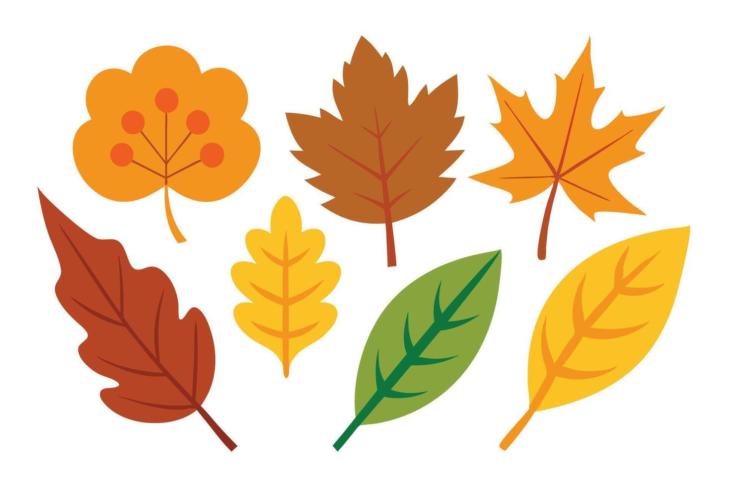 Autumn leaf flat set illustration vector