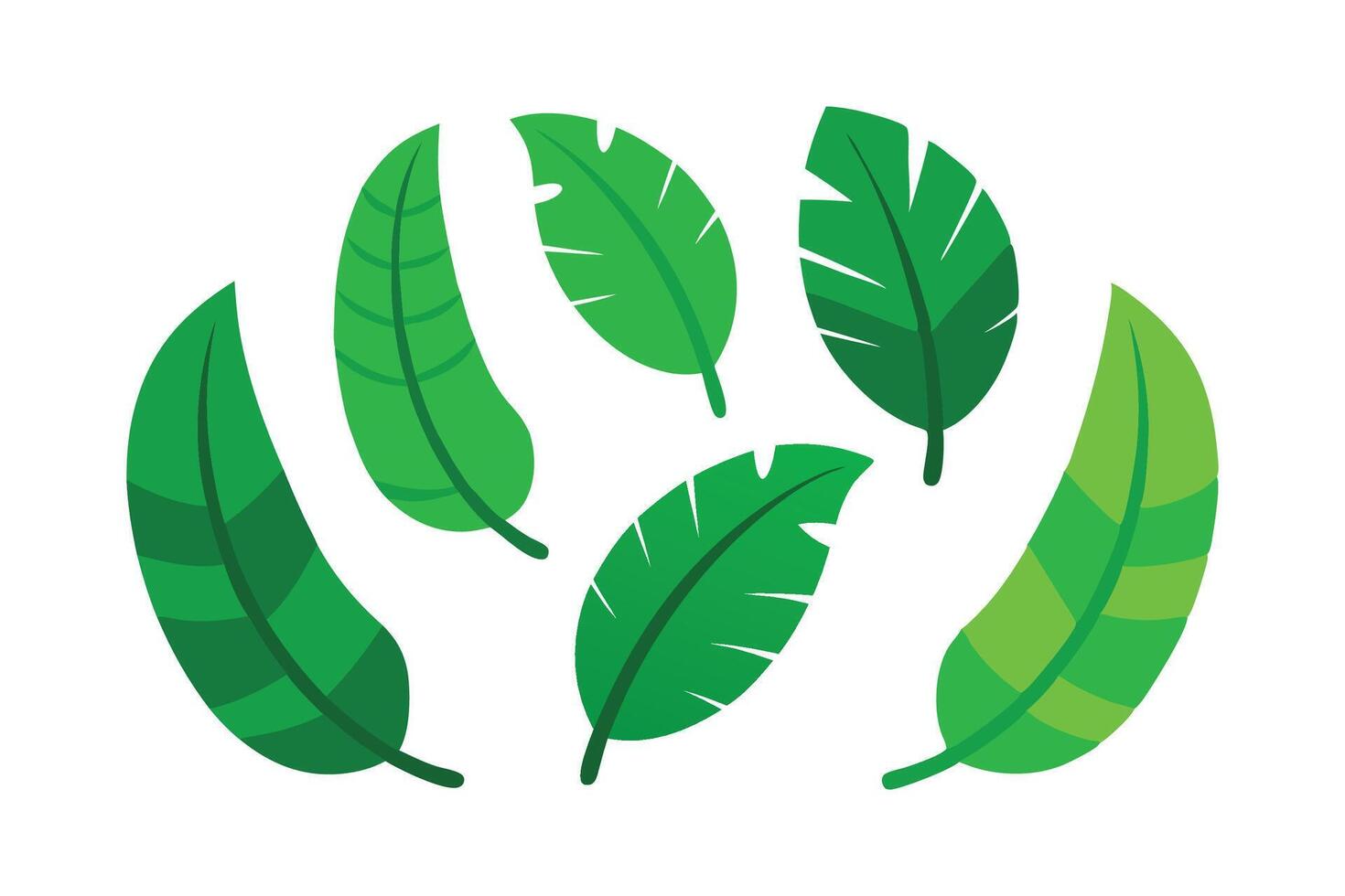 Natural green banana leaf flat set illustration vector