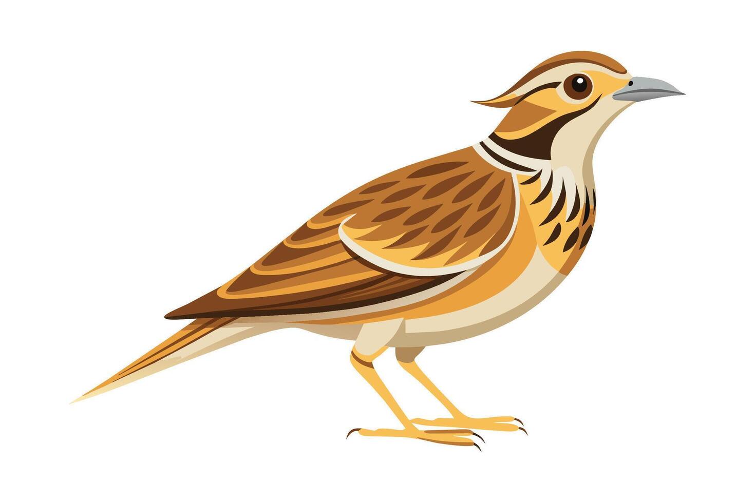 Skylark Bird flat illustration on white background vector