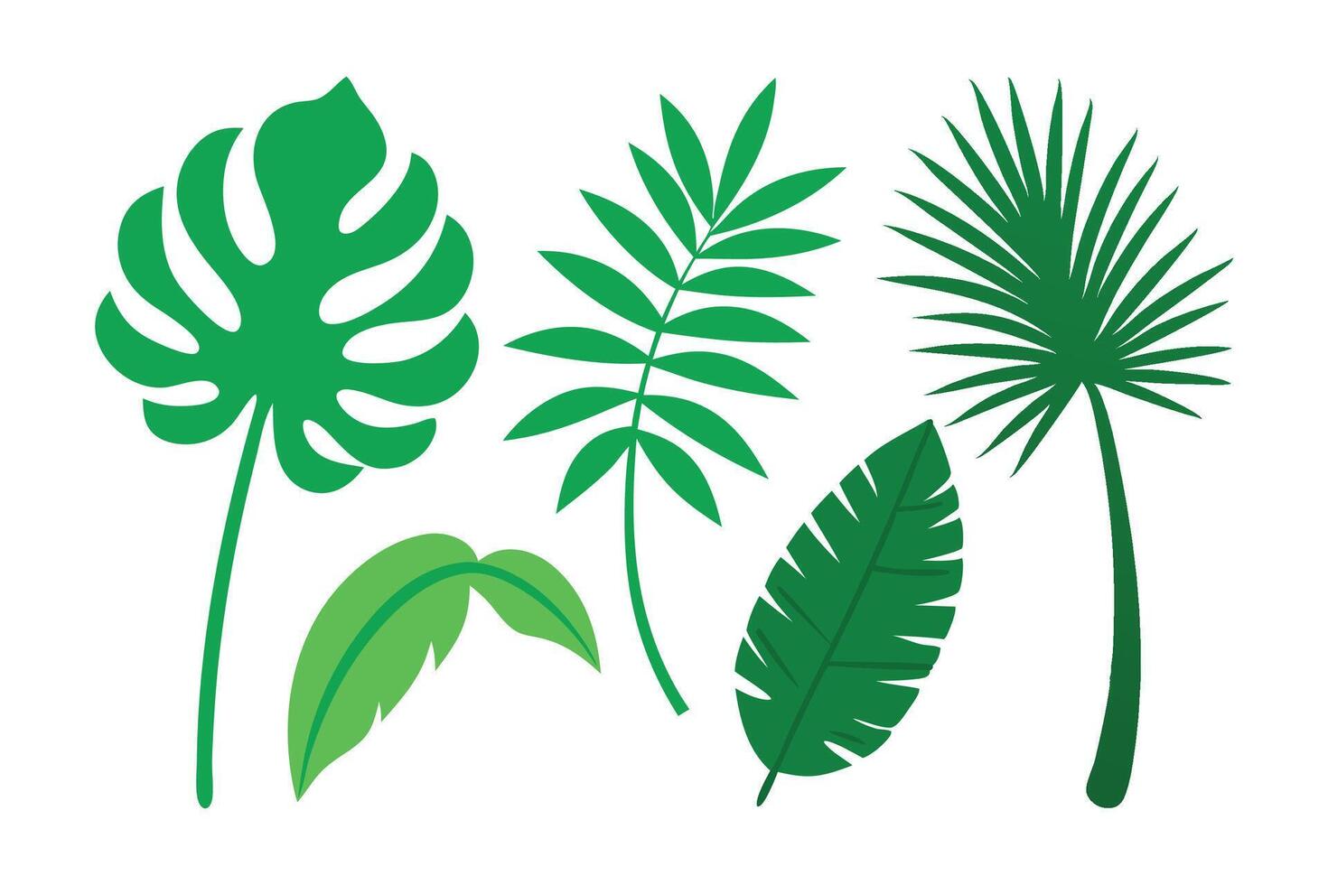 palm leaf exotic flat set illustration. vector
