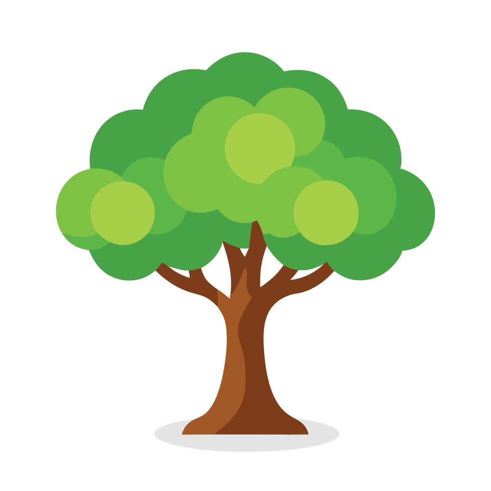 Butternut, Juglans cinerea tree Nature flat illustration on white background. vector