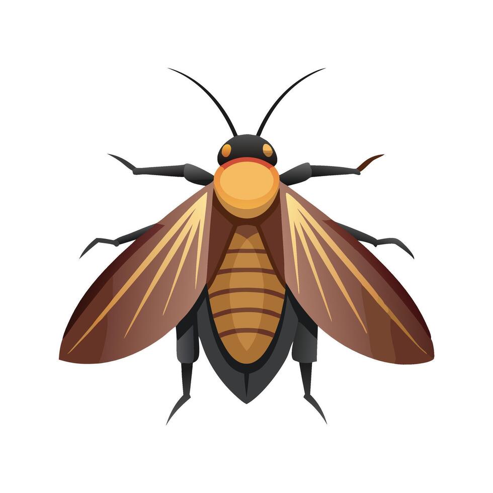 Blattodea insect flat illustration on white background. vector