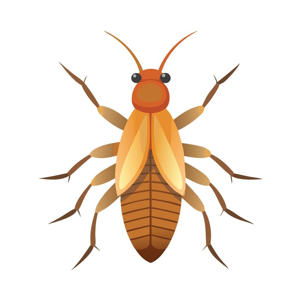 Termite insect flat illustration on white background. vector