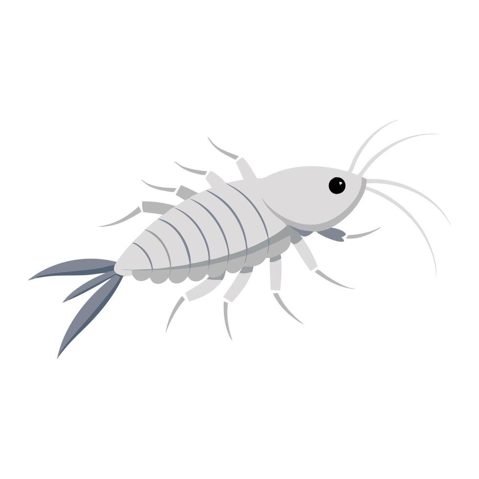 White Silverfish insect flat illustration on white background vector