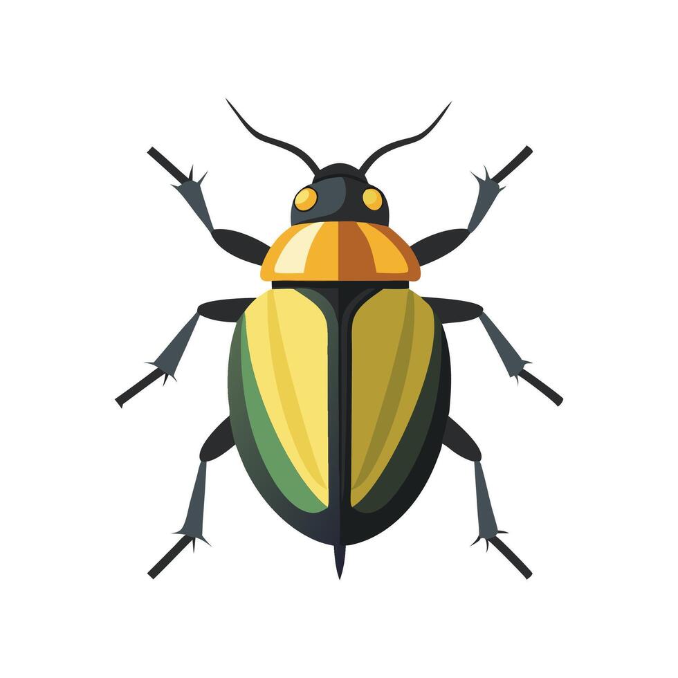 Beetles insect flat illustration on white background. vector