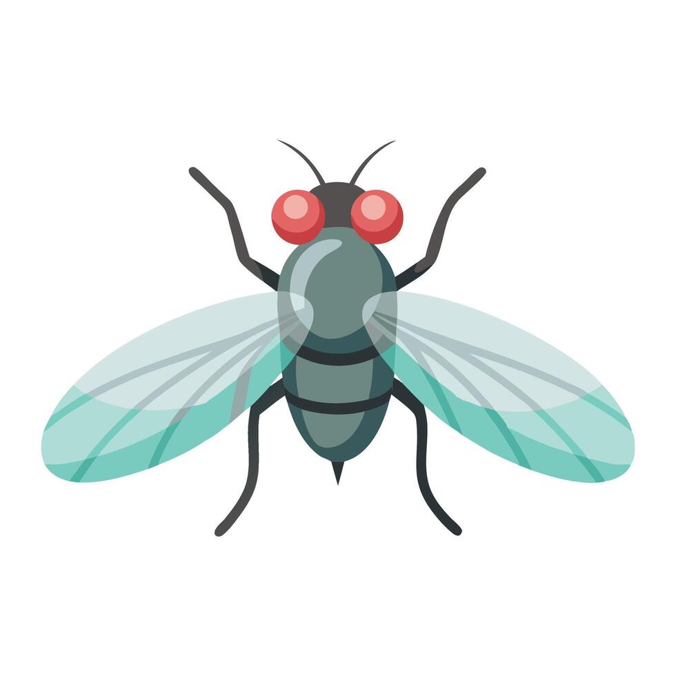 Fly insect flat illustration on white background. vector