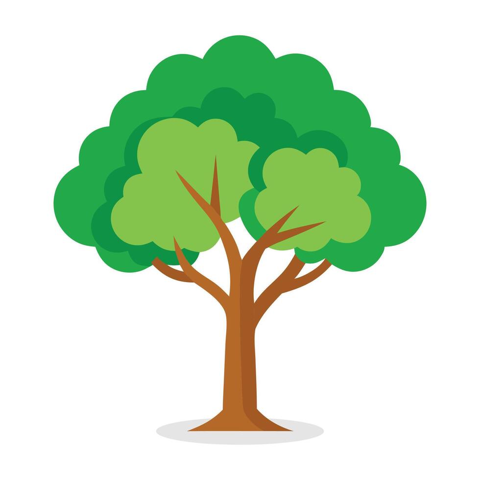 Paper Birch, Betula papyrifera tree Nature flat illustration on white background vector
