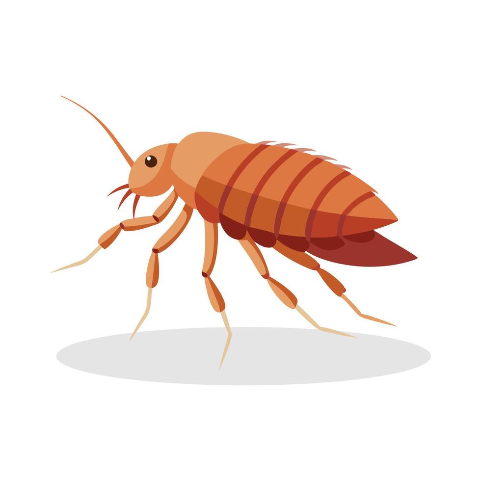 Flea insect flat illustration on white background vector