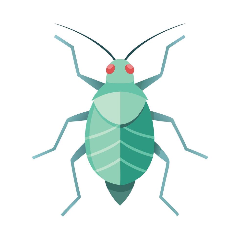 Aphid insect flat illustration on white background vector