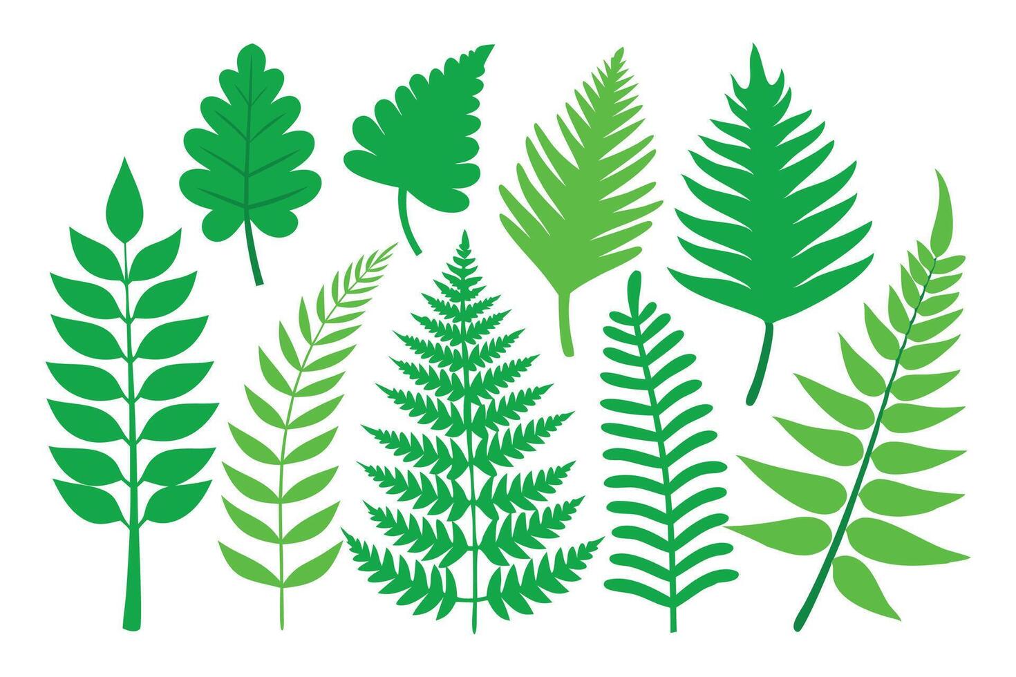 Best green Forest Fern collection flat illustration vector