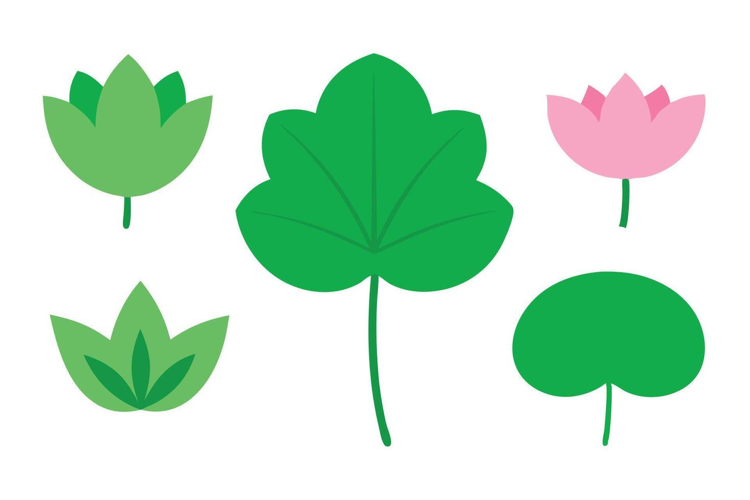 lotus leaves flat set illustration vector