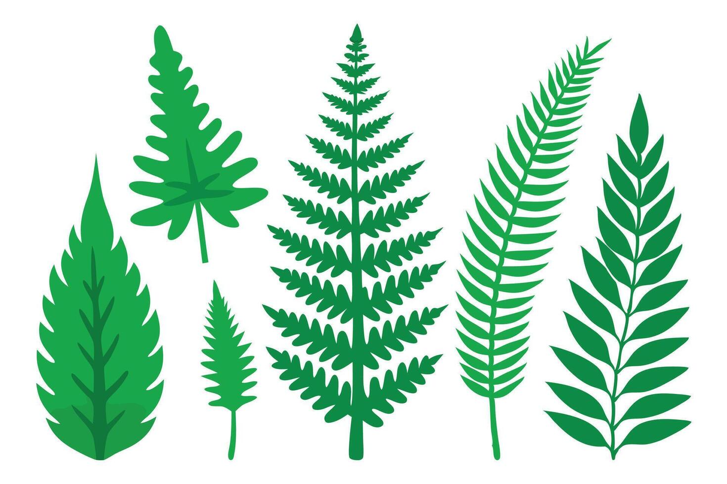 green Forest Fern flat set illustration. vector