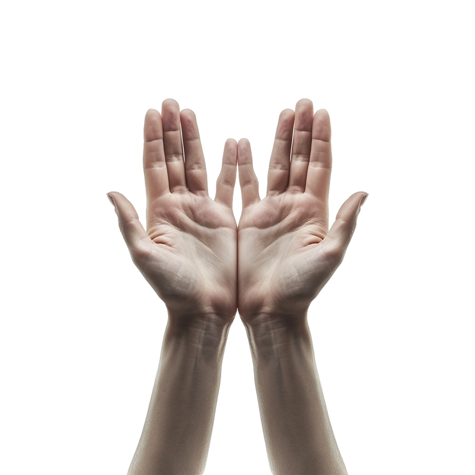 Hands raised up gesture Isolated on transparent background png