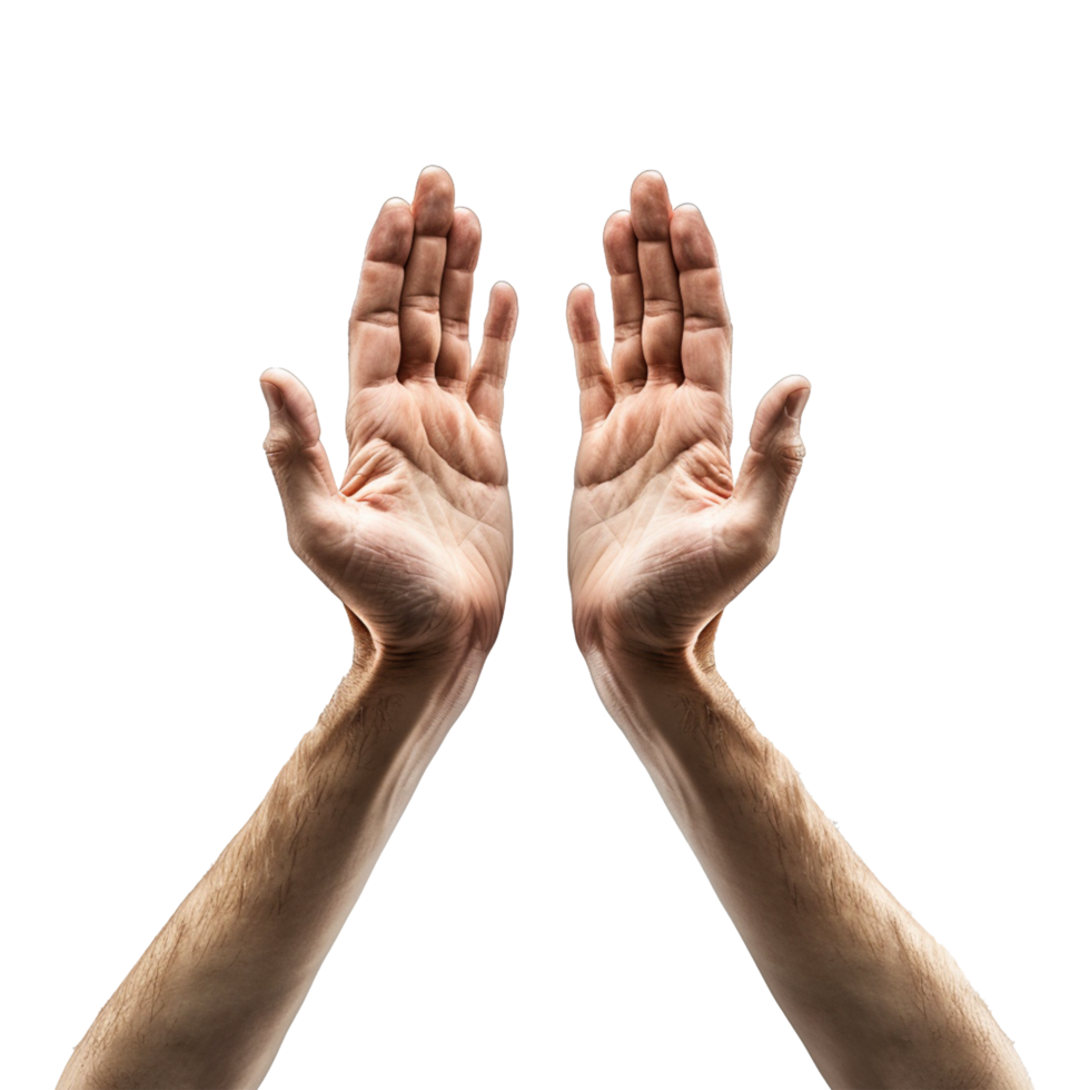 Hands raised up gesture Isolated on transparent background png