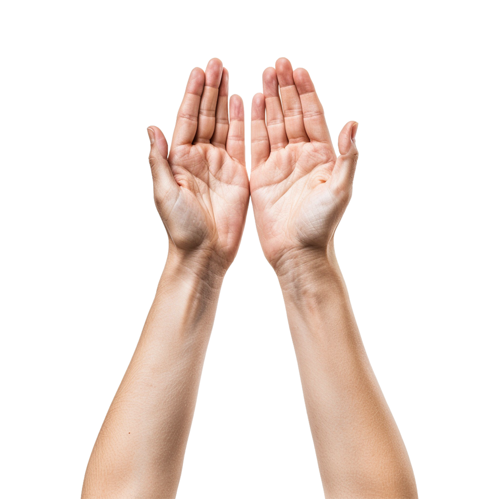 Hands raised up gesture Isolated on transparent background png