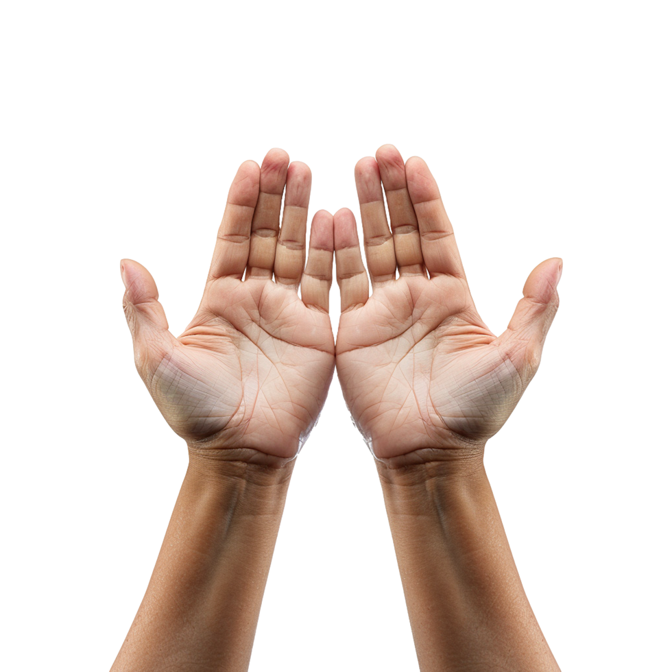 Hands raised up gesture Isolated on transparent background png