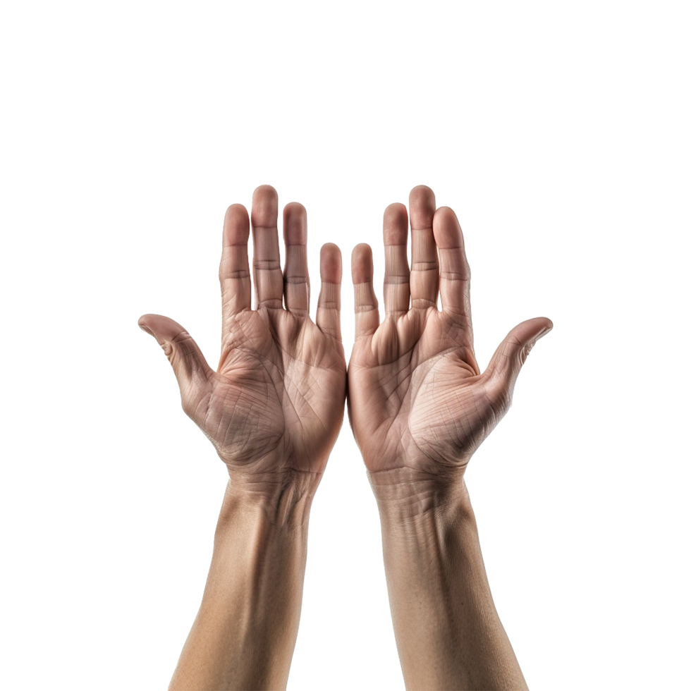 Hands raised up gesture Isolated on transparent background png
