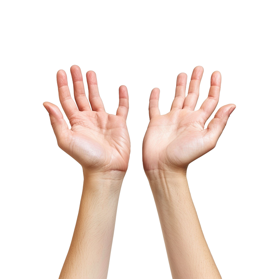 Hands raised up gesture Isolated on transparent background png