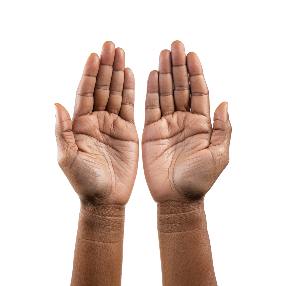 Hands raised up gesture Isolated on transparent background png