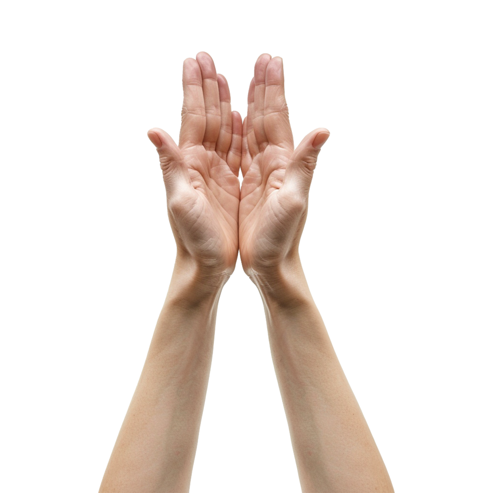 Hands raised up gesture Isolated on transparent background png