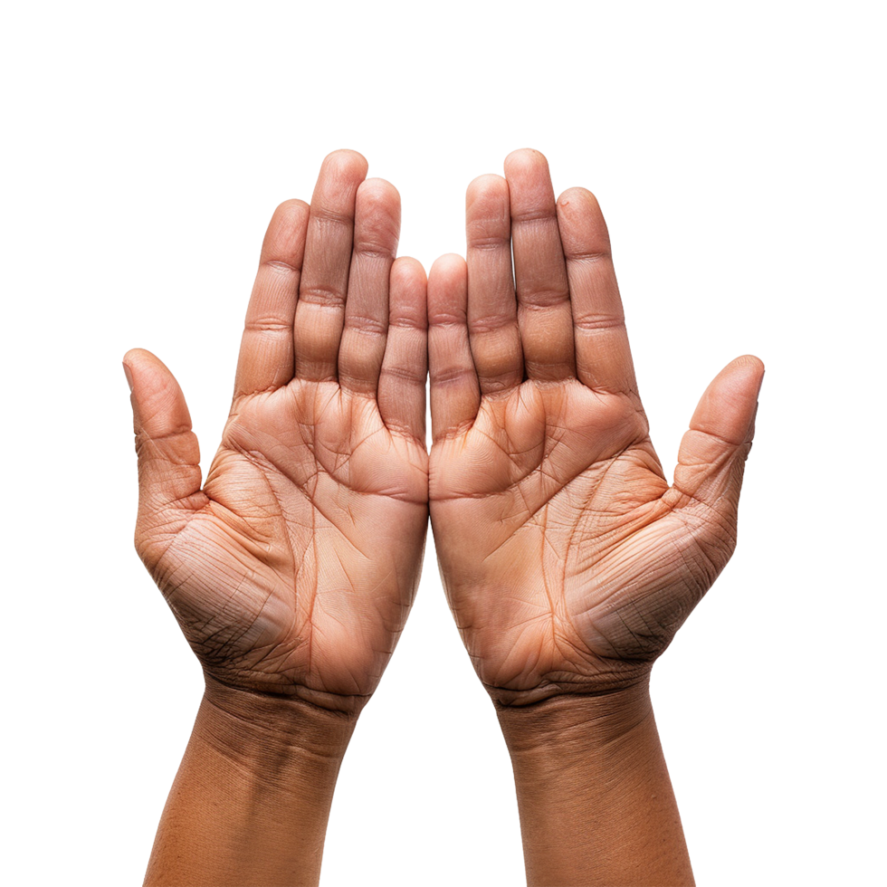 Hands raised up gesture Isolated on transparent background png