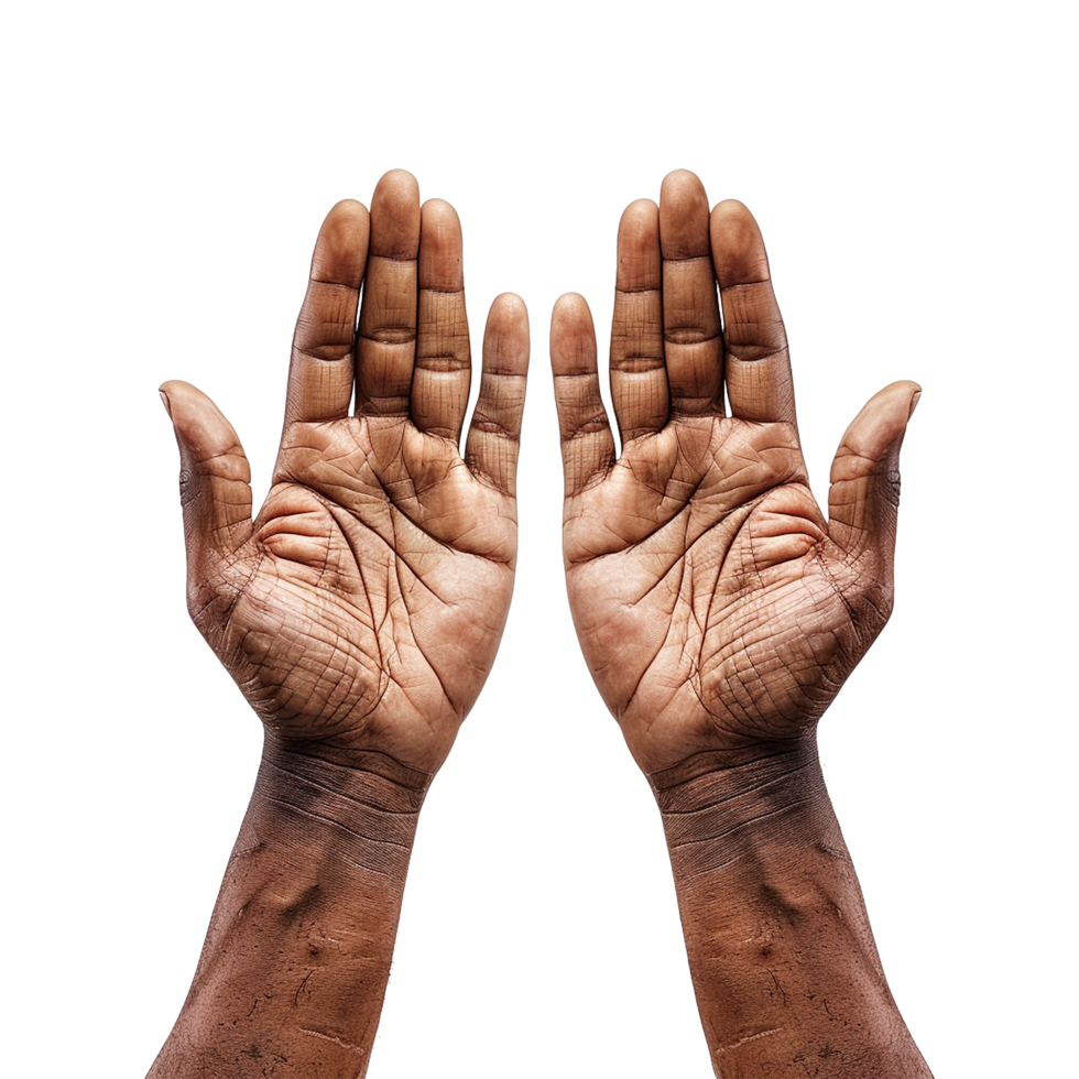 Hands raised up gesture Isolated on transparent background png