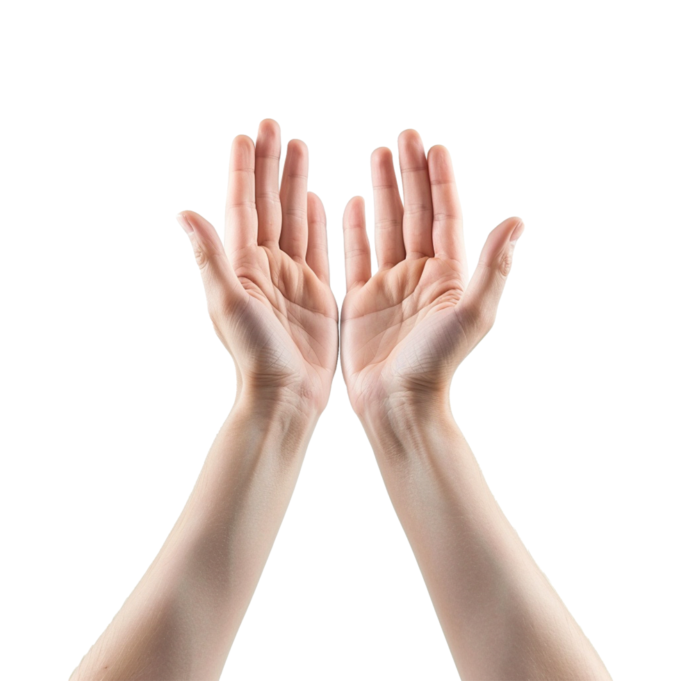 Hands raised up gesture Isolated on transparent background png