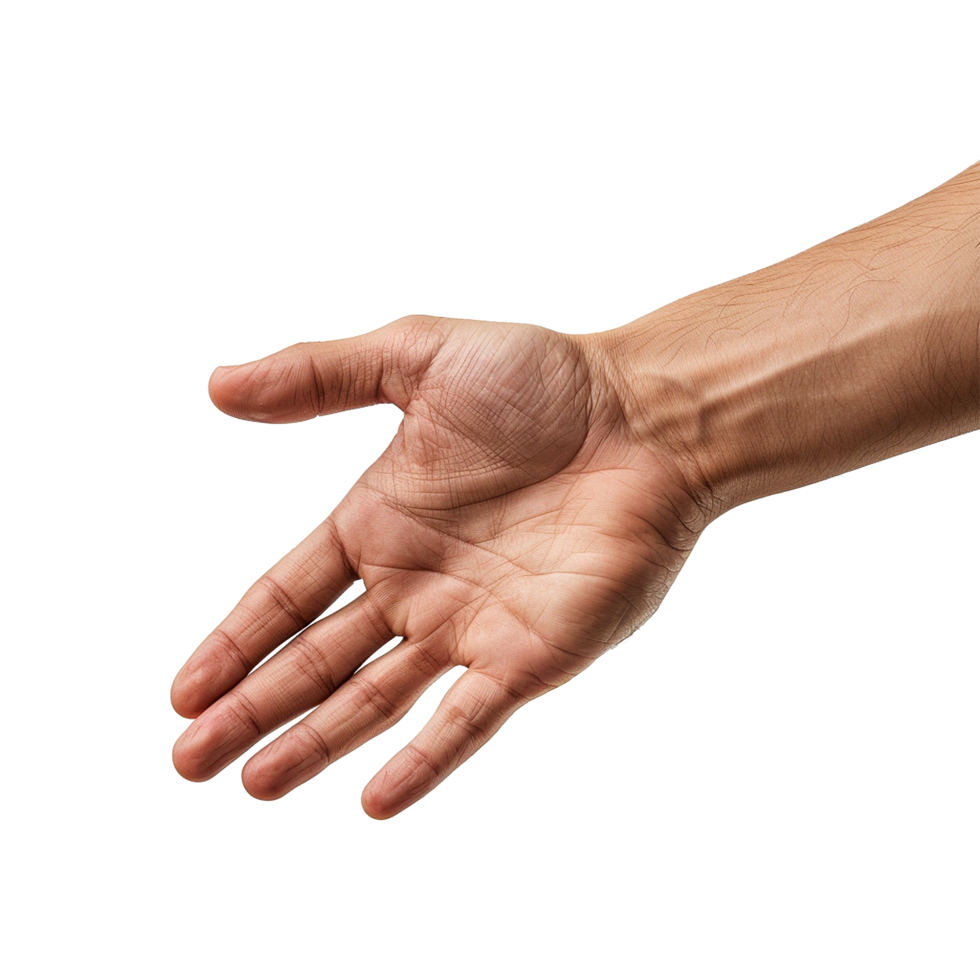 Handshake isolated on transparent background png
