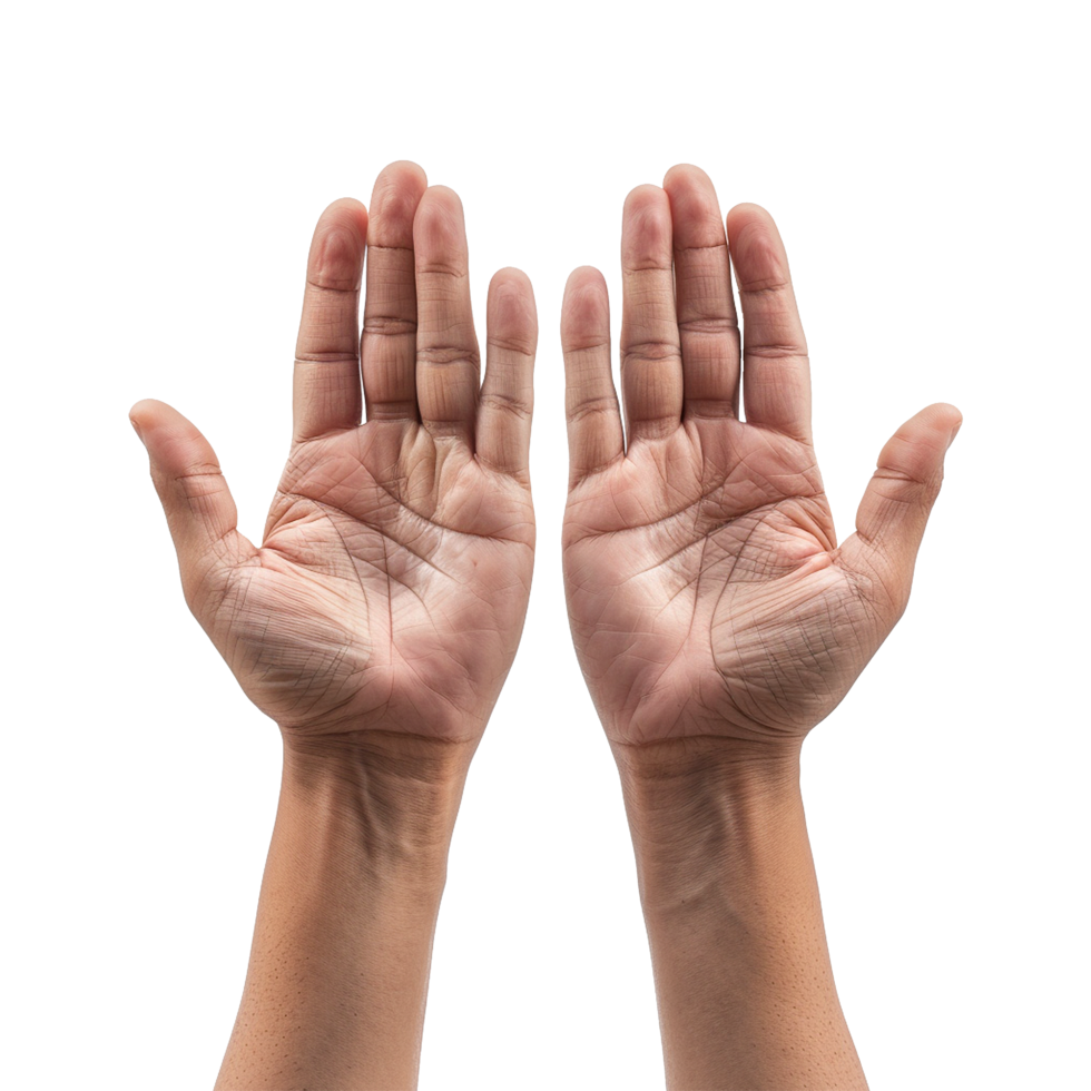 Hands raised up gesture Isolated on transparent background png
