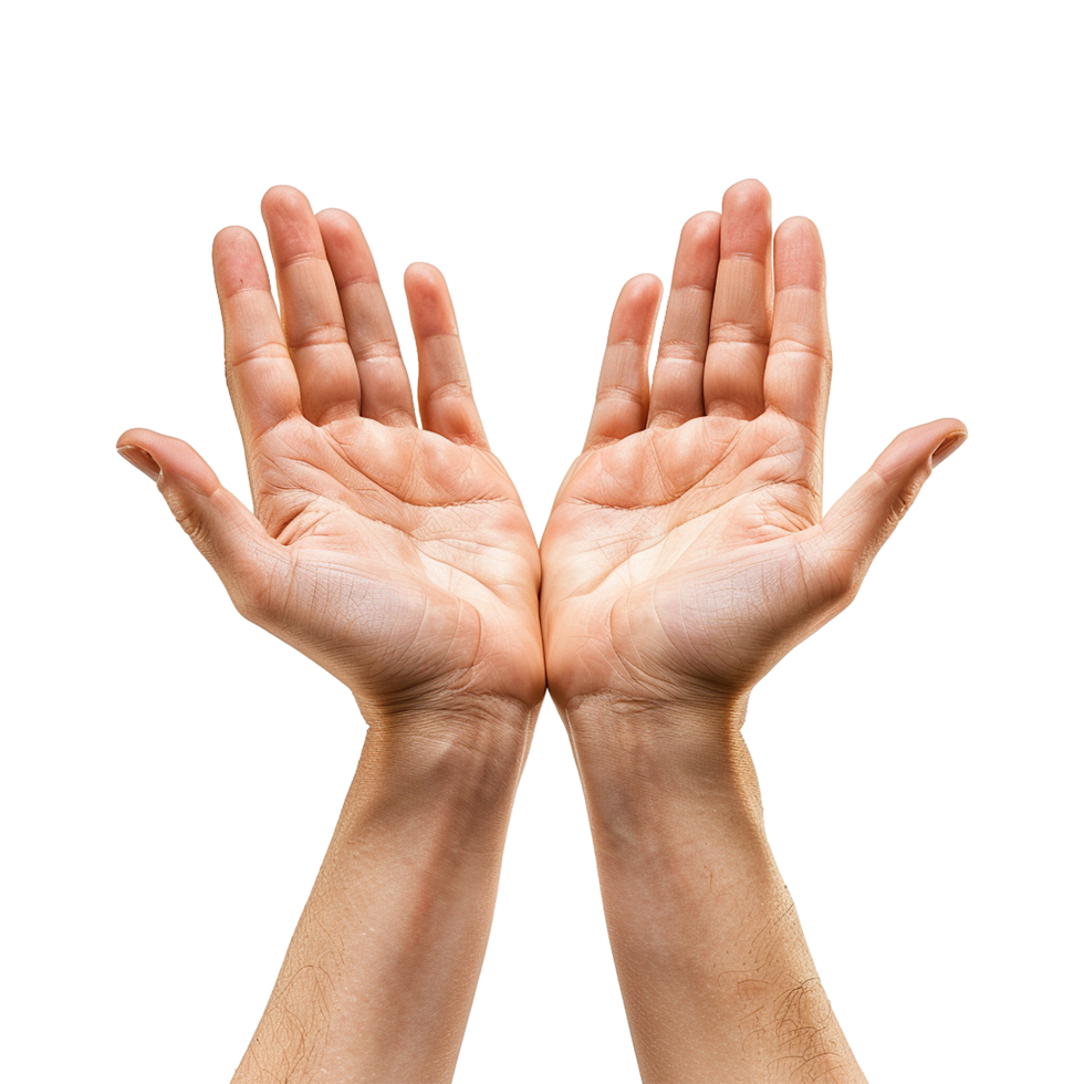 Hands raised up gesture Isolated on transparent background png