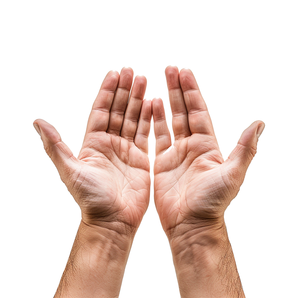 Hands raised up gesture Isolated on transparent background png