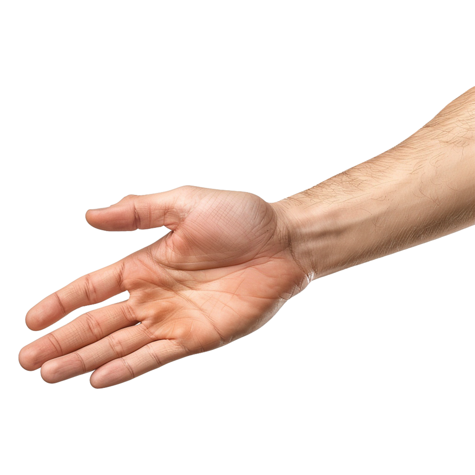 Handshake isolated on transparent background png