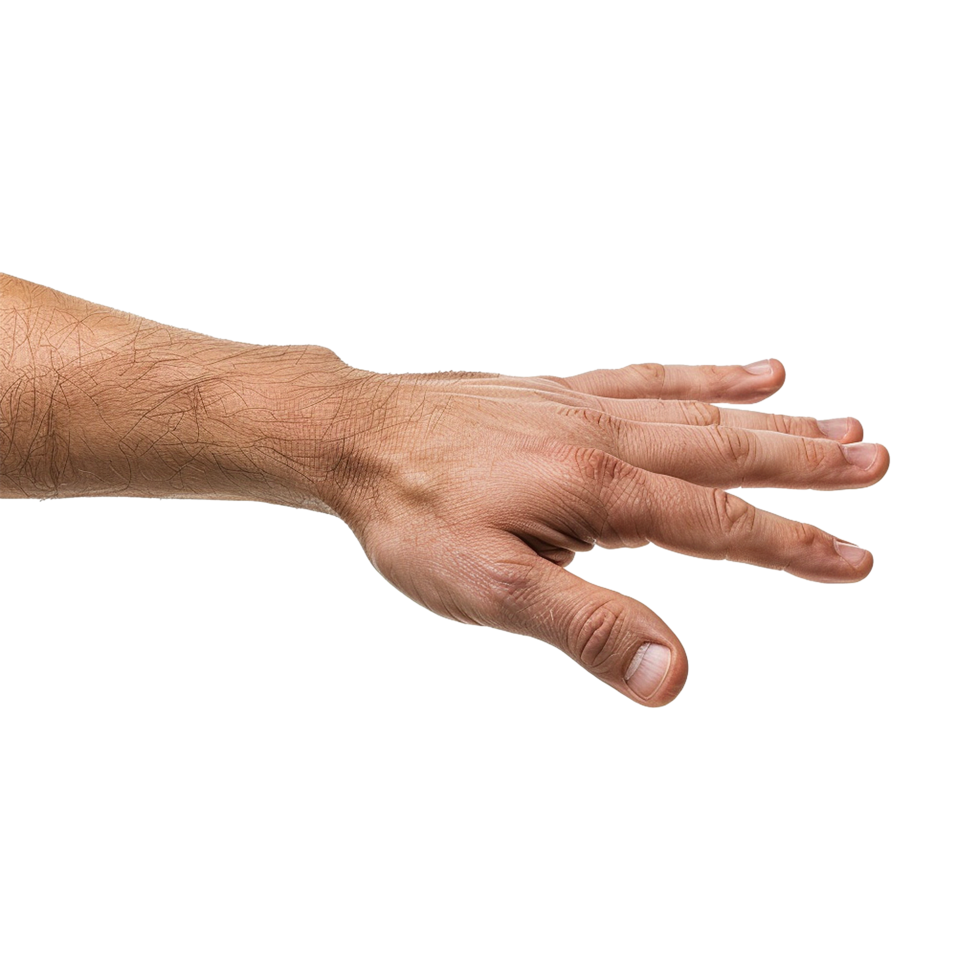 Handshake isolated on transparent background png