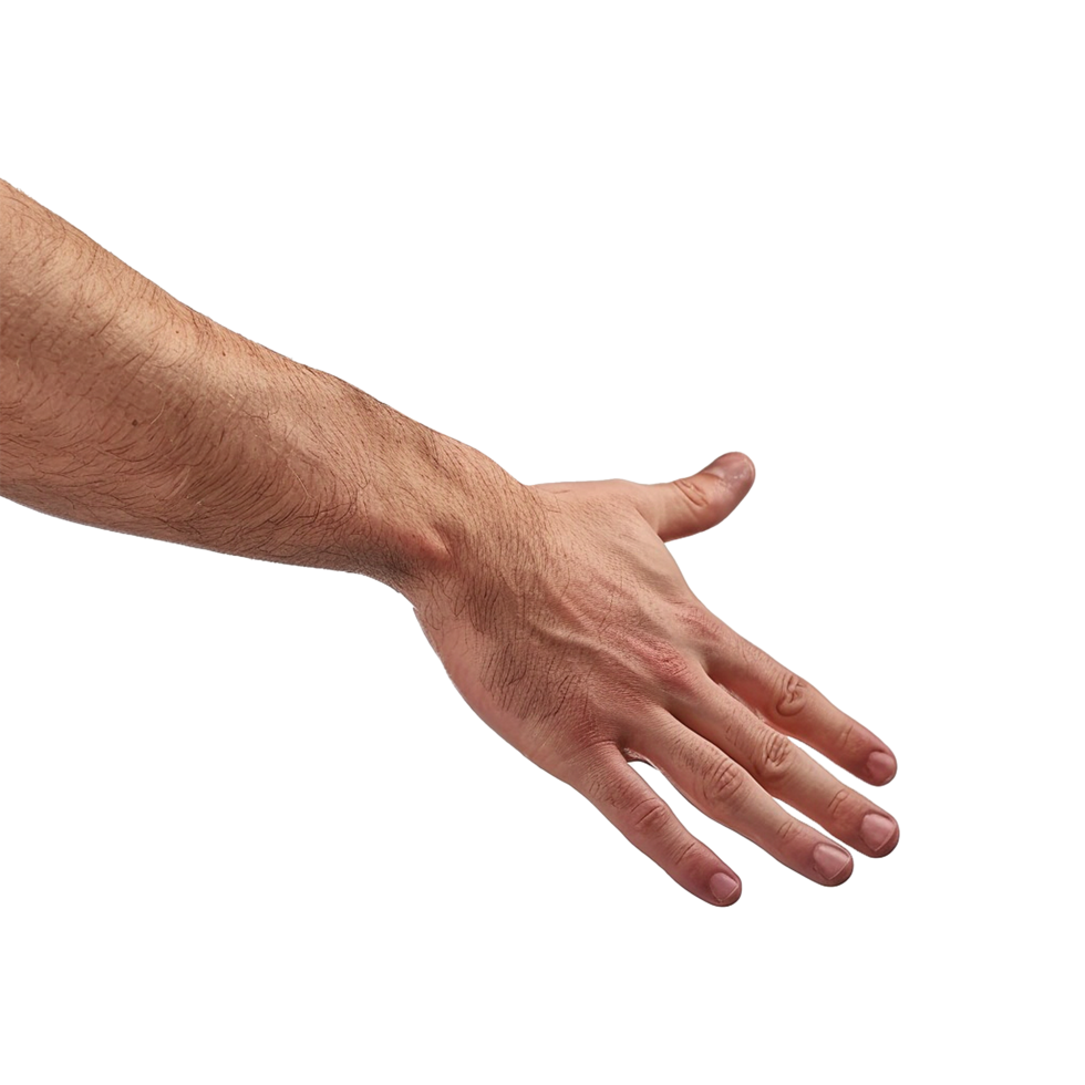 Handshake isolated on transparent background png