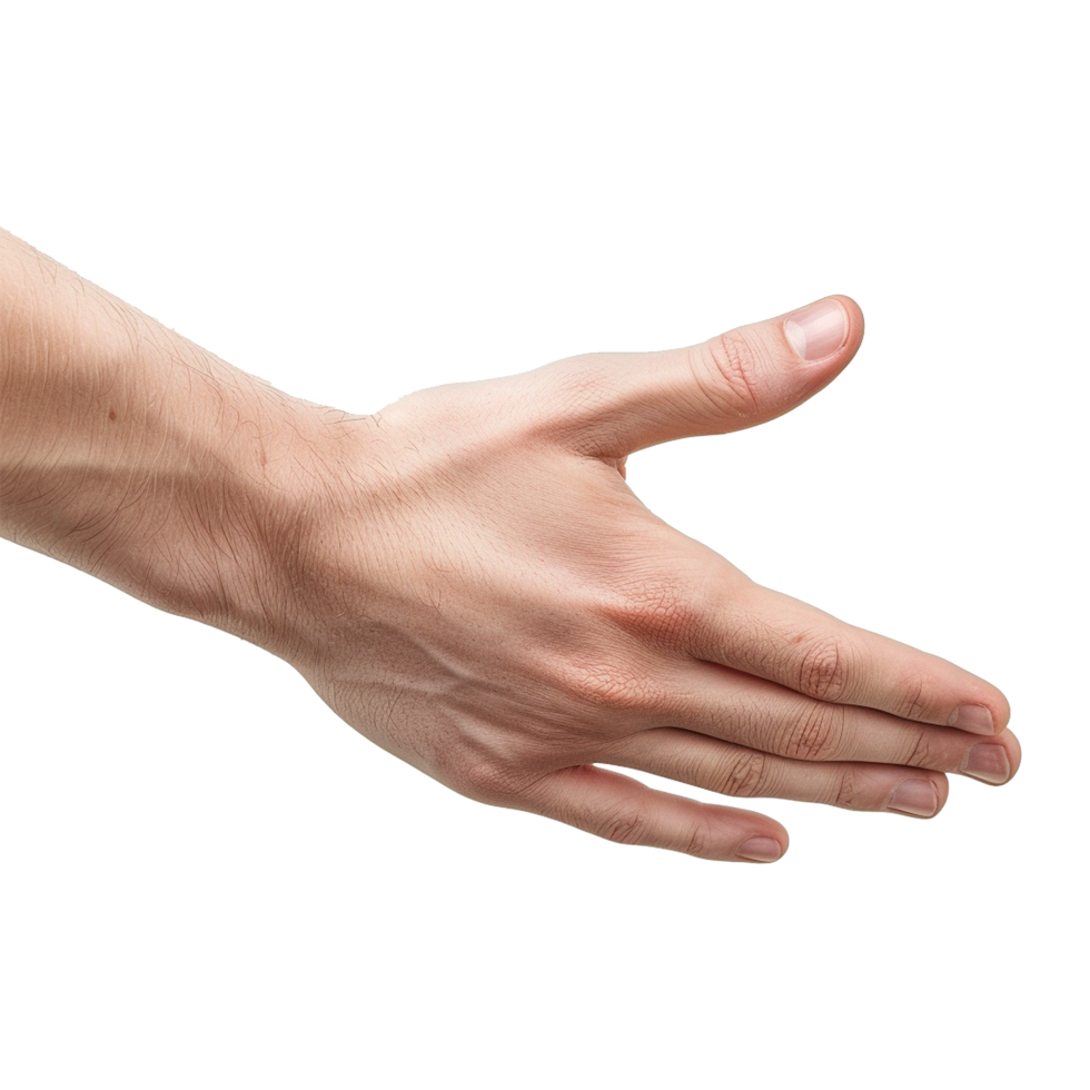 Handshake isolated on transparent background png