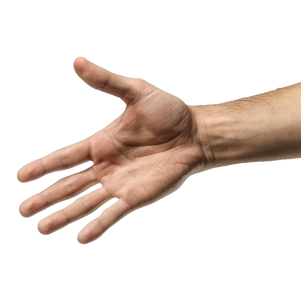 Handshake isolated on transparent background png