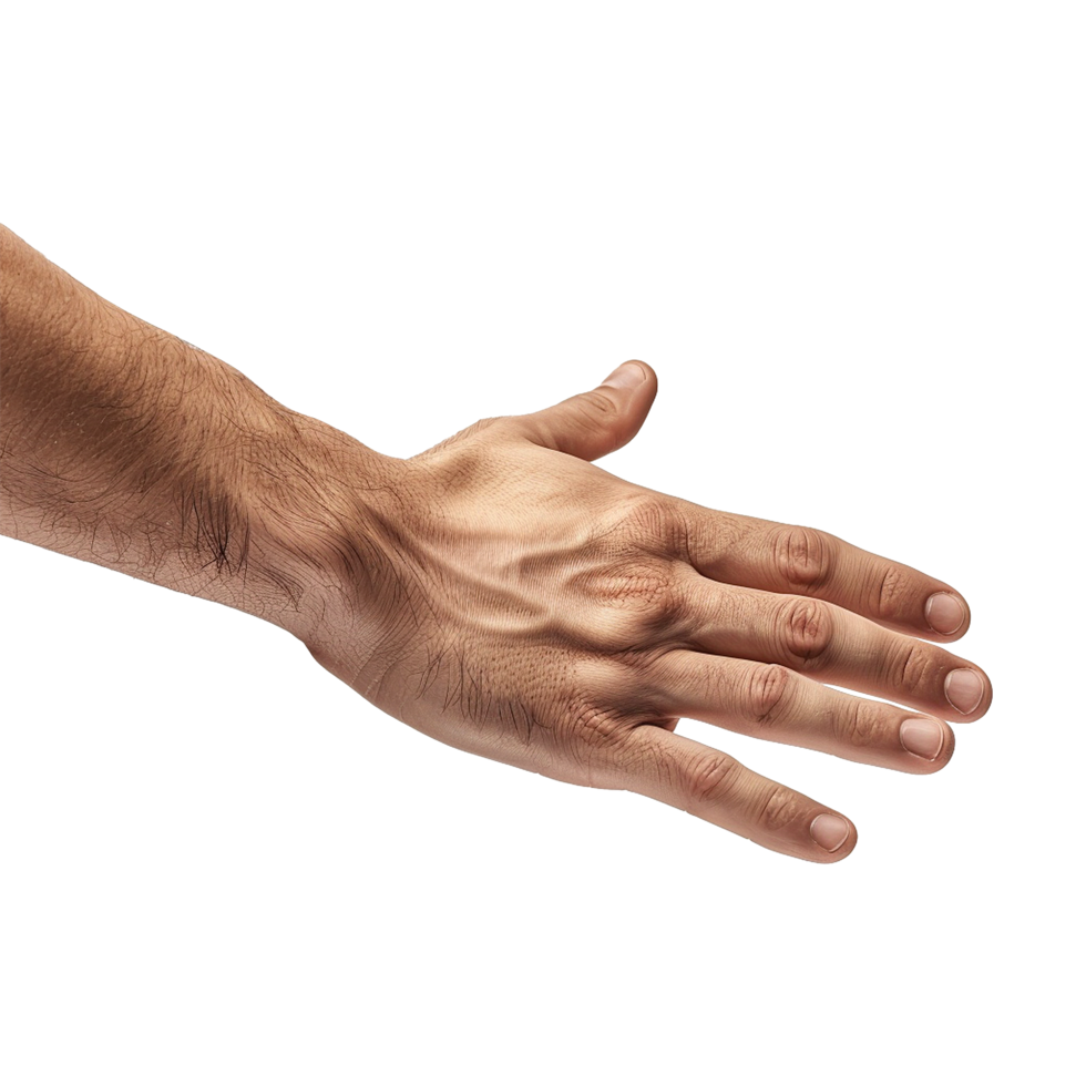 Handshake isolated on transparent background png