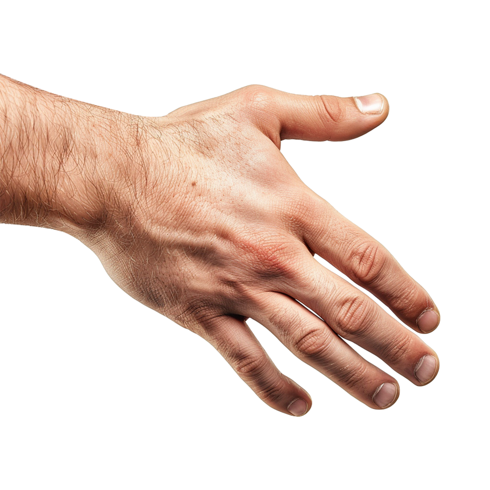 Handshake isolated on transparent background png