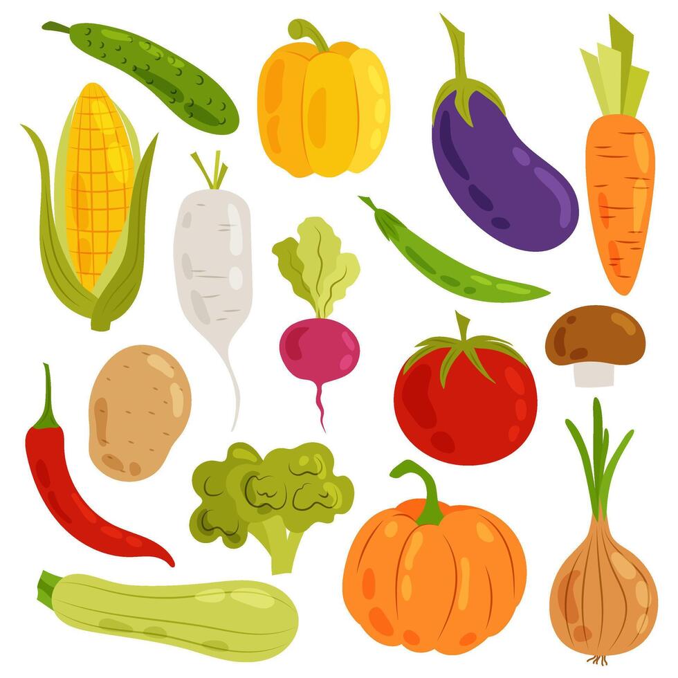 Healthy food. Set of different vegetables in flat style. Fresh vegetables on a white background. Illustrations of vegetables in hand drawn style. vector