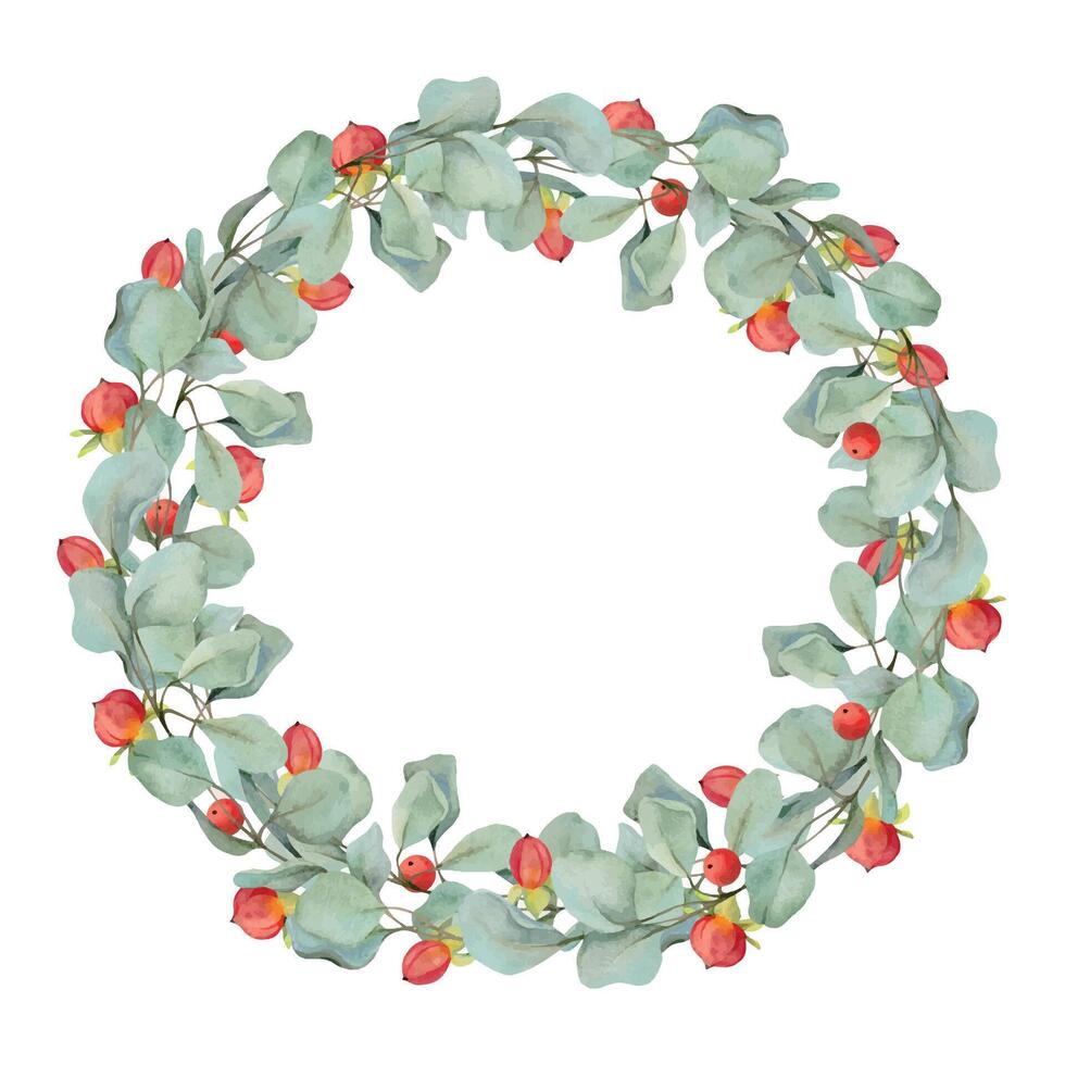 Eucalyptus laurel branches, leaves with red berries. Watercolor hand drawn illustration, wreath chaplet crown frame isolated on white. Xmas cards, happy new year festive, noel navidad. Florist wedding vector