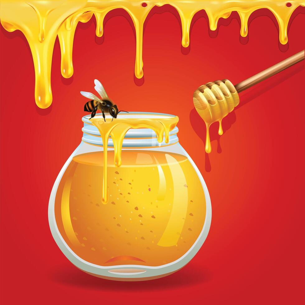 Honey in glass jar with Bee The dipper scooped the honey dripping illustration vector
