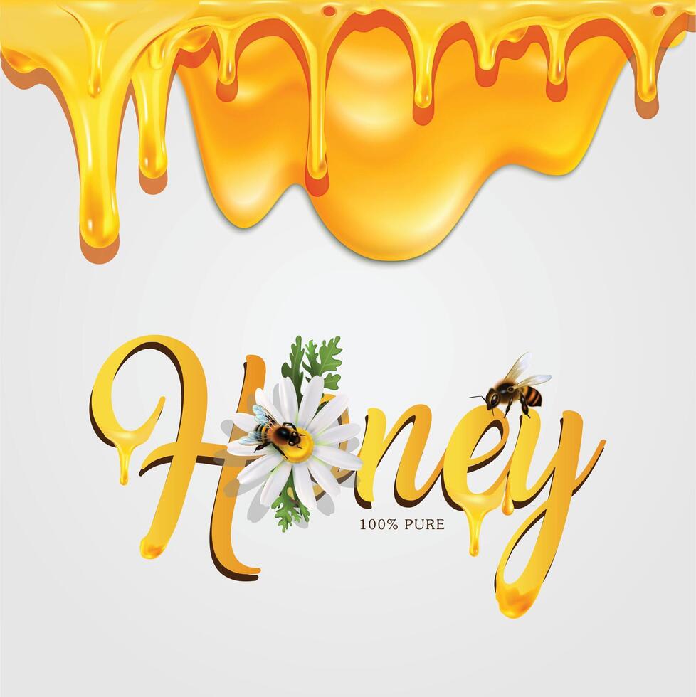 Honey drop with Bees, white Background vector