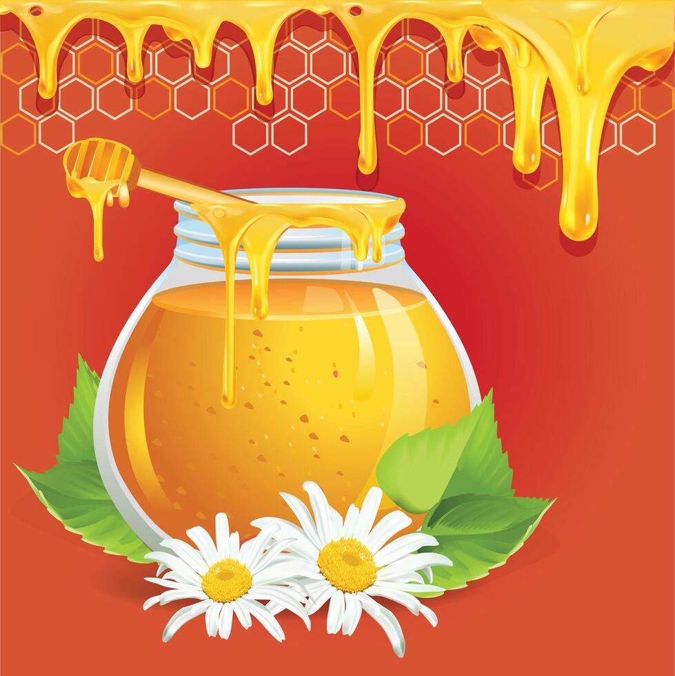 Honey in glass jar with white flower illustration vector