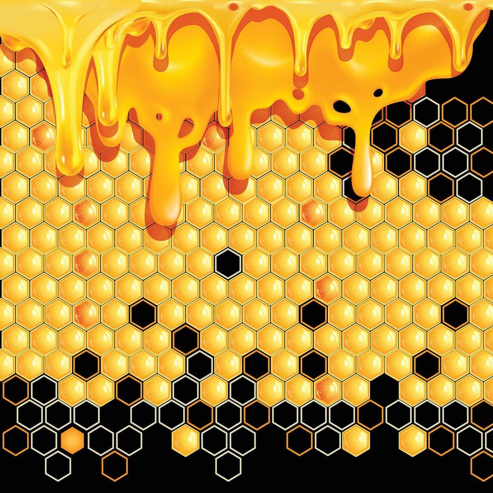 Honey with comb illustration, Black Background vector